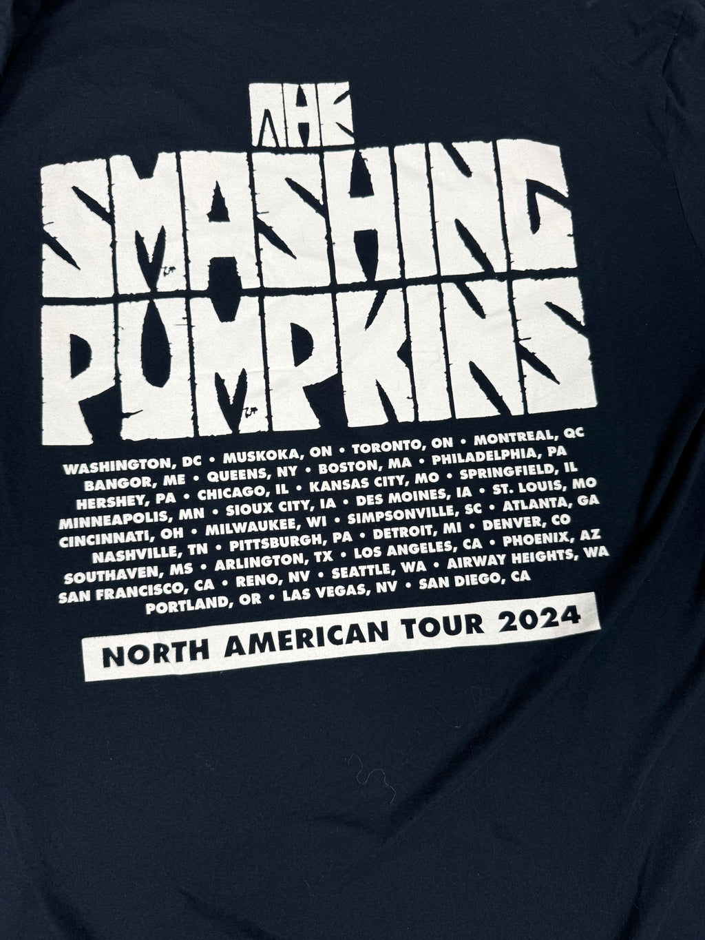 The World Is A Vampire Smashing Pumpkins T-shirt
