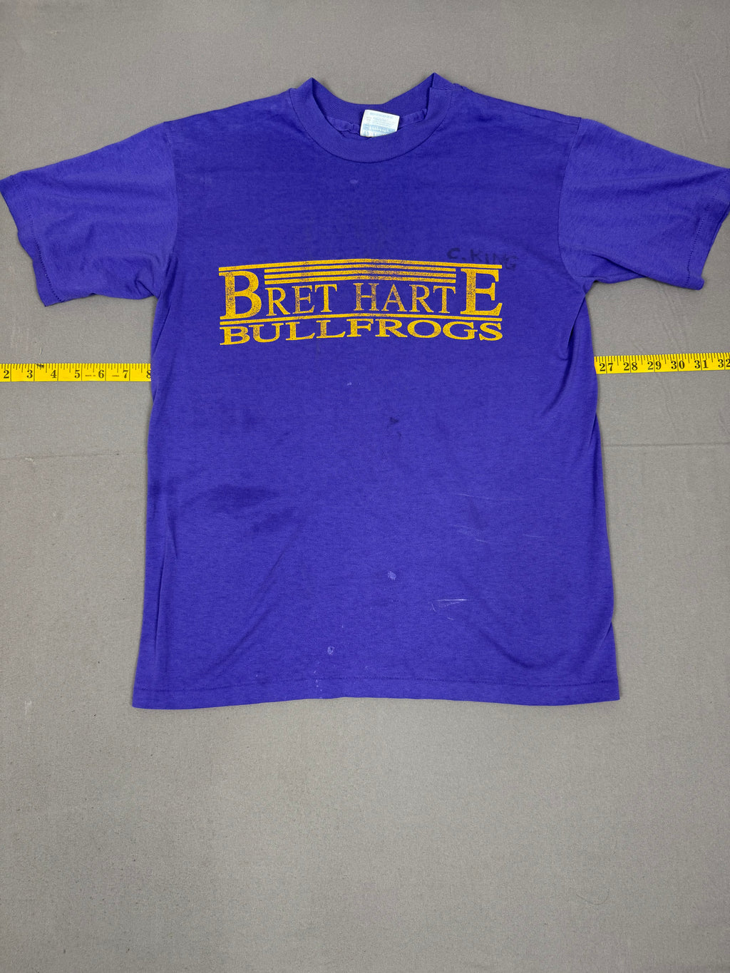 Hanes Bullfrogs T Shirt