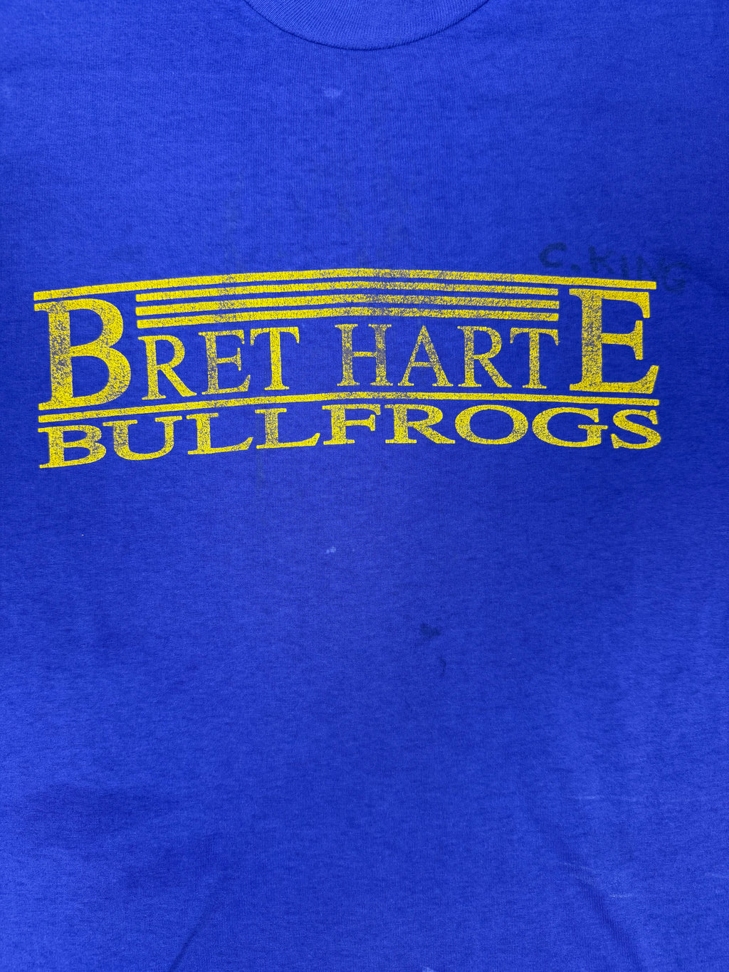 Hanes Bullfrogs T Shirt