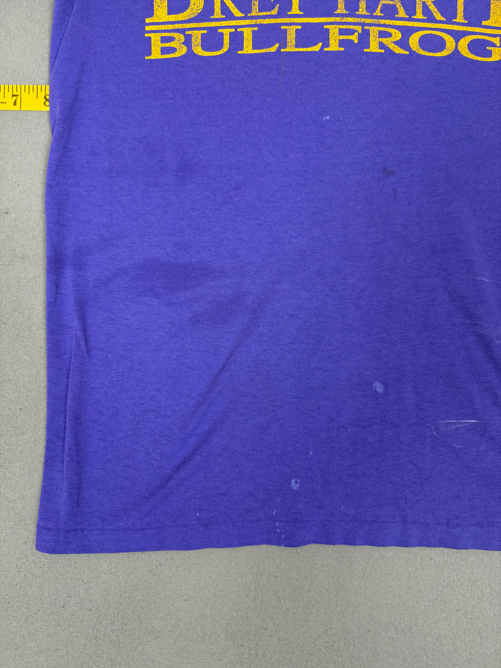 Hanes Bullfrogs T Shirt