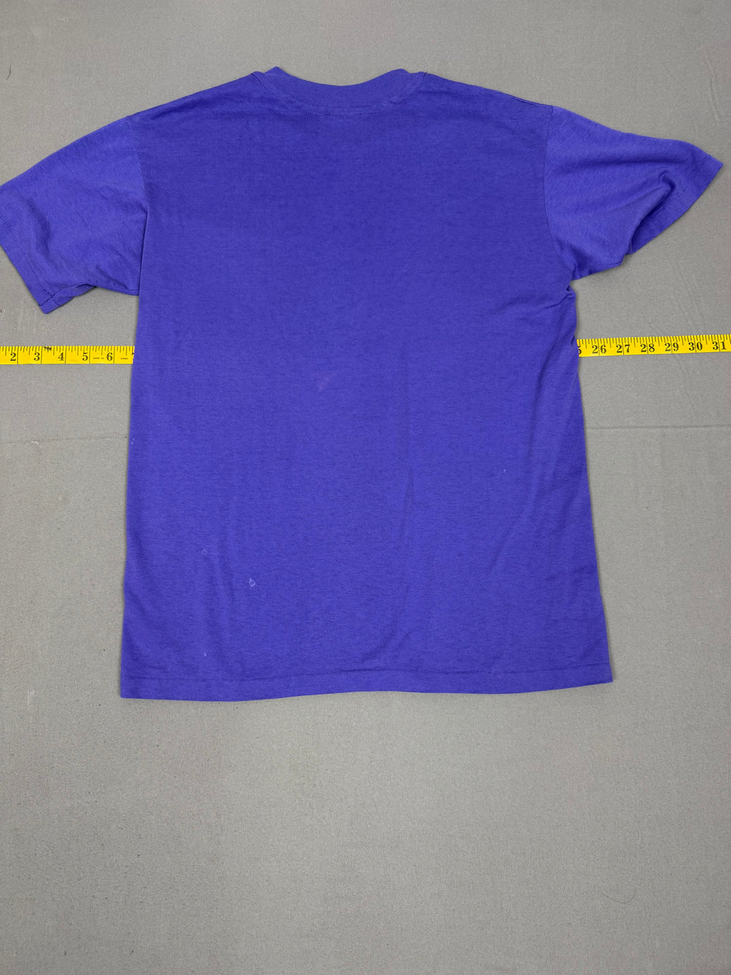 Hanes Bullfrogs T Shirt