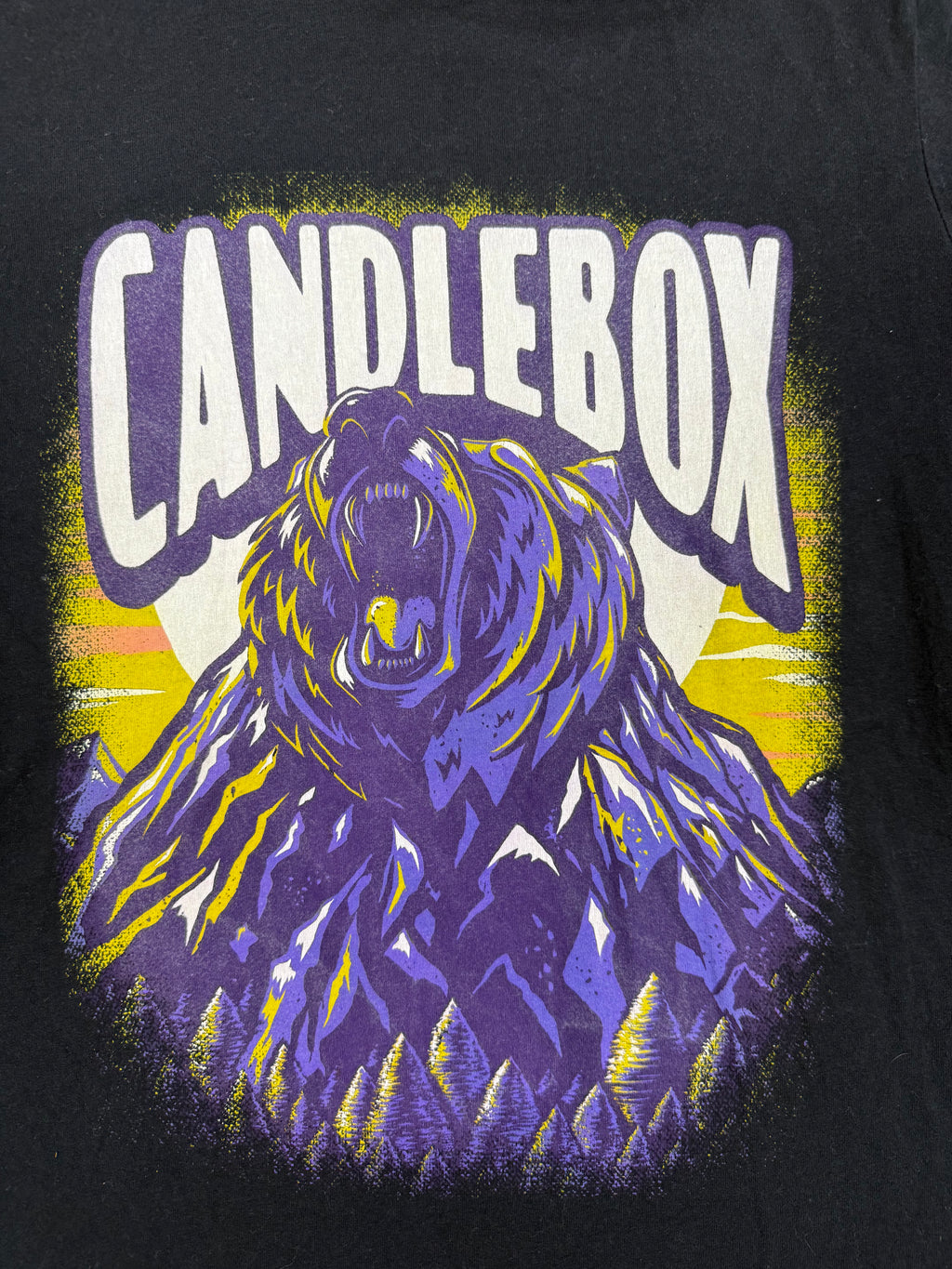 Vintage Candlebox Tour Graphic T-Shirt