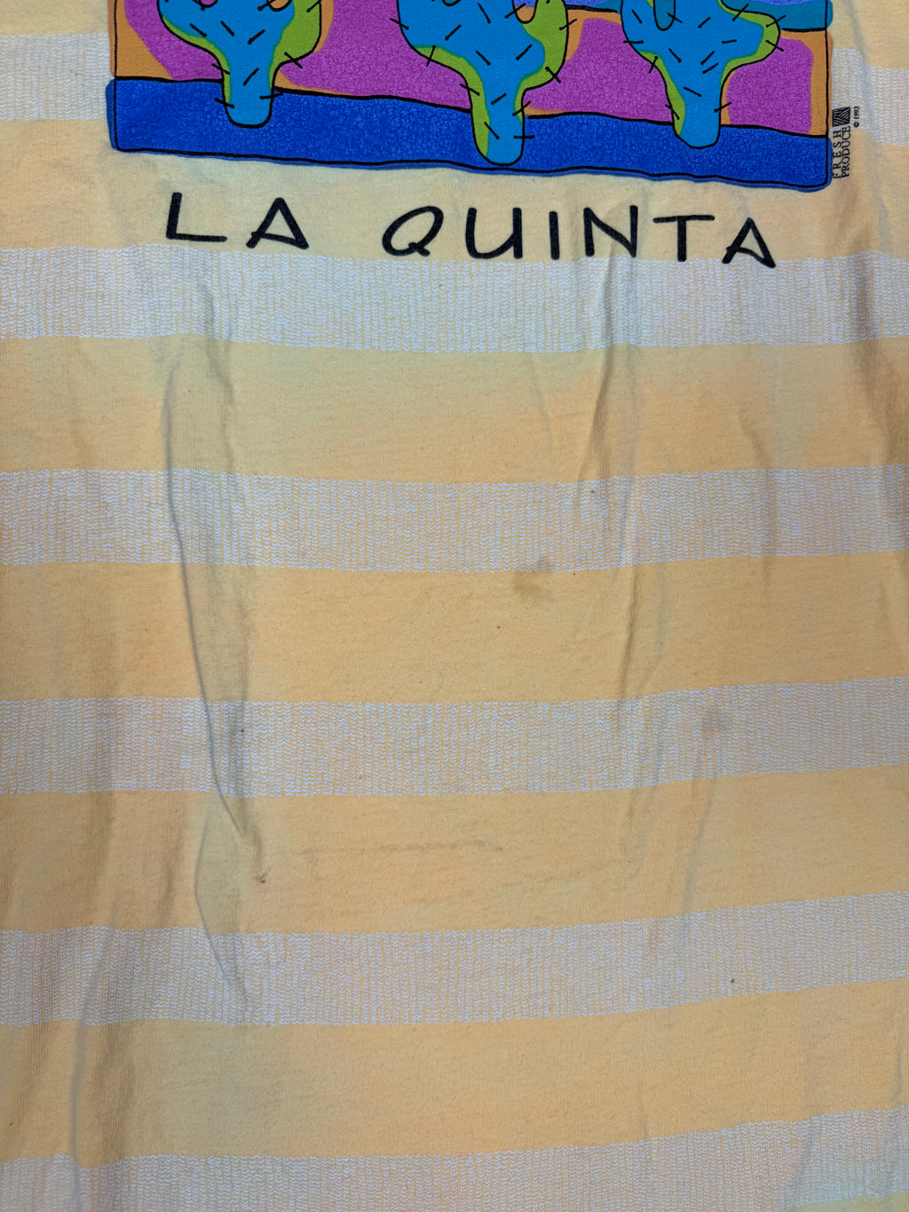 Fresh Produce Vintage La Quinta Cactus Graphic Long-Sleeve Shirt – Large
