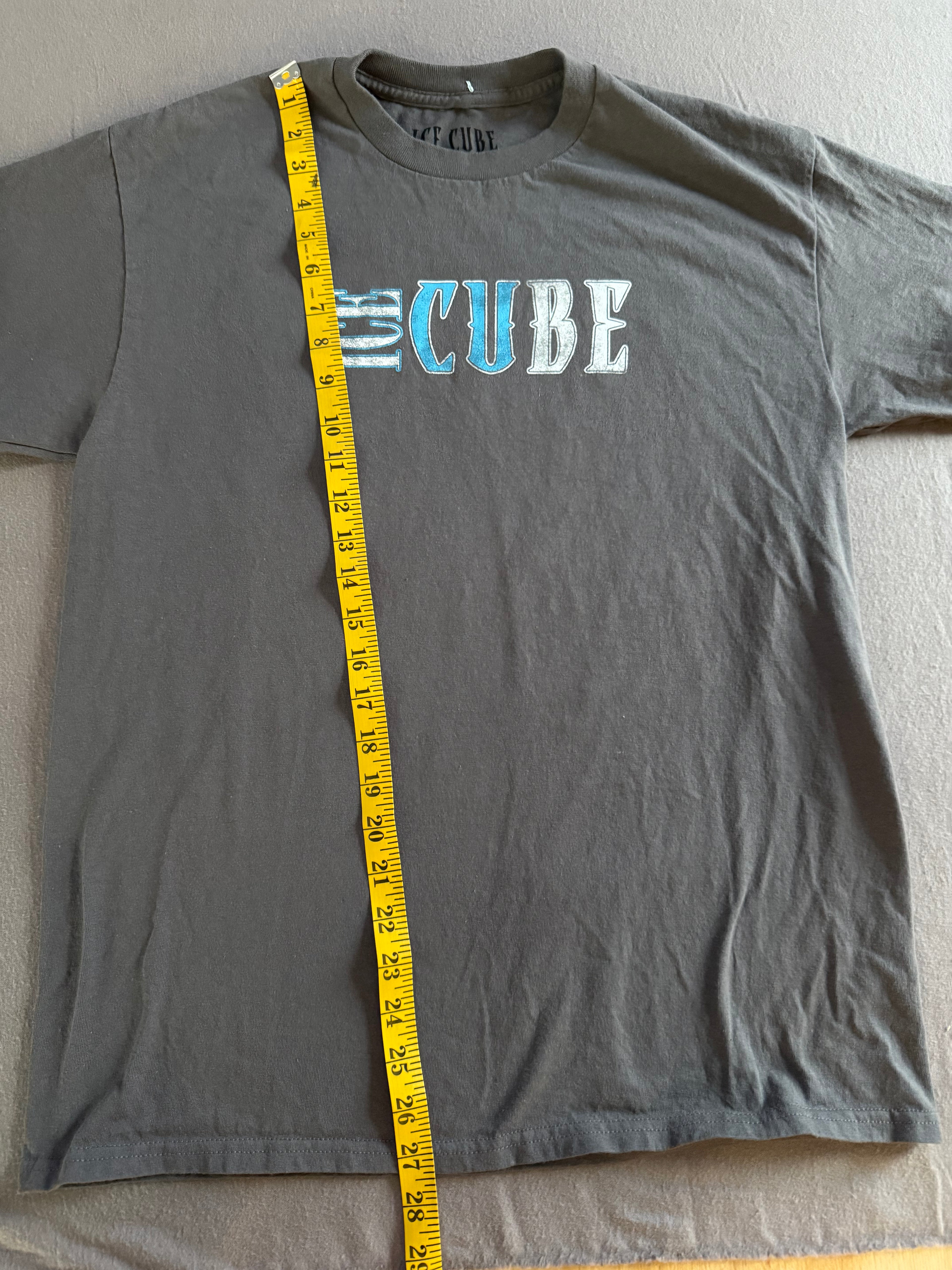 Ice Cube Graphic T-Shirt Gray Blue Logo Tee Size M